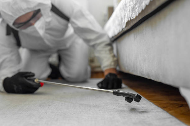Professional Termite Control technician working in Blue Earth, MN