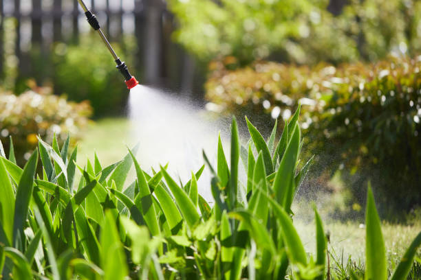 24/7 Emergency Termite Control experts in Blue Earth, MN