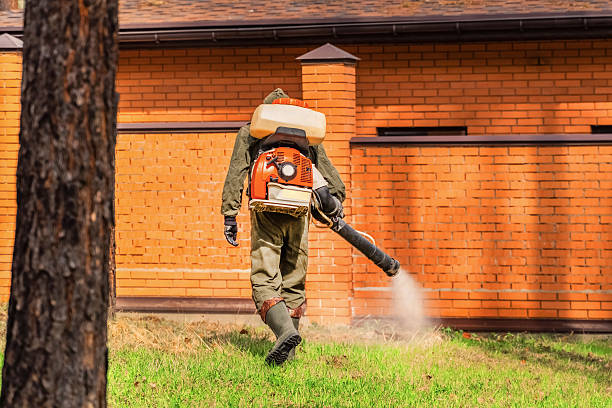 Trusted Cockroach Control service in Blue Earth, MN - Nex Pest Control
